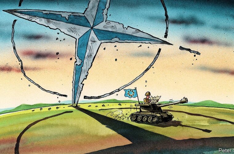 occidente nato
