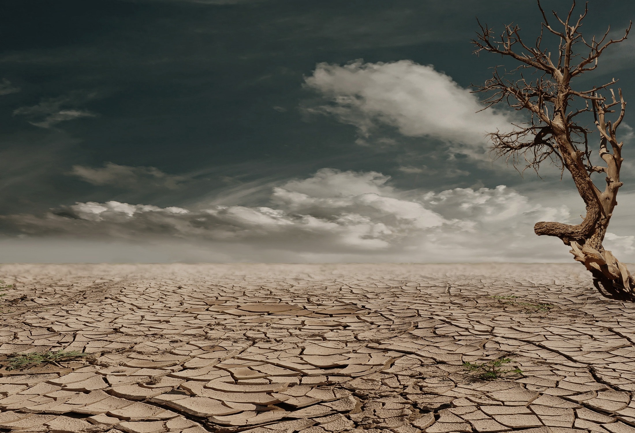 climatico